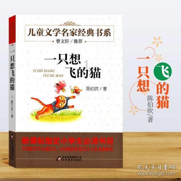 小猫钓鱼正版下载中文版