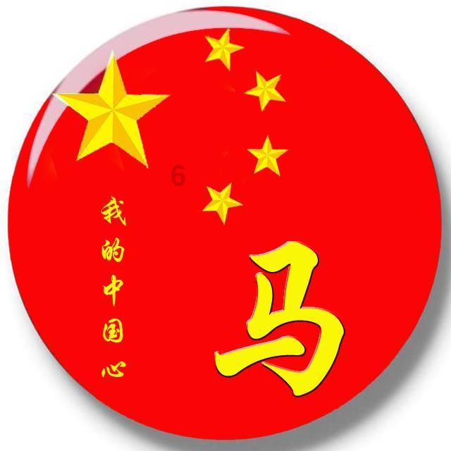 我国最大的岛屿是