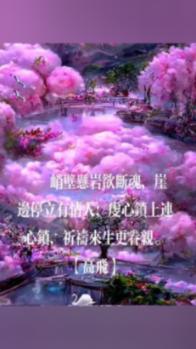 hahabetcom官网星辰大海